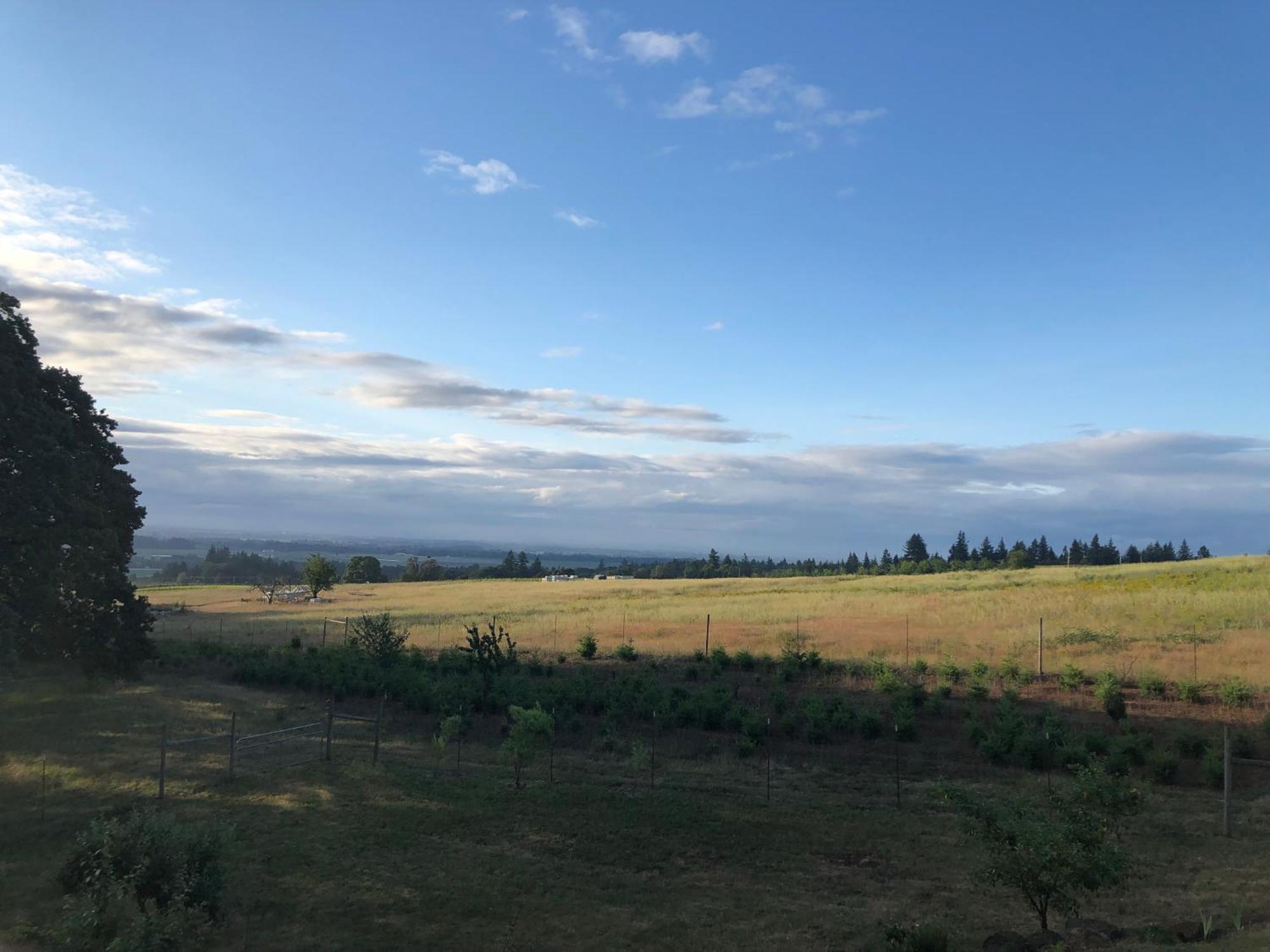 Apartment 2 Bedroom Suite: Views, Private Entrance, Evchgr *